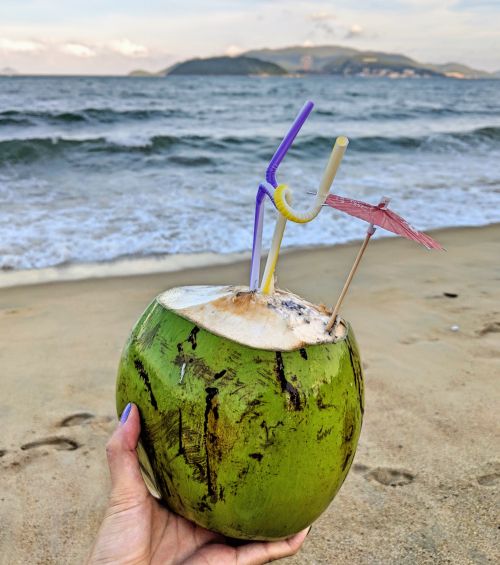 Best-Vietnamese-Drinks-Coconut-Juice